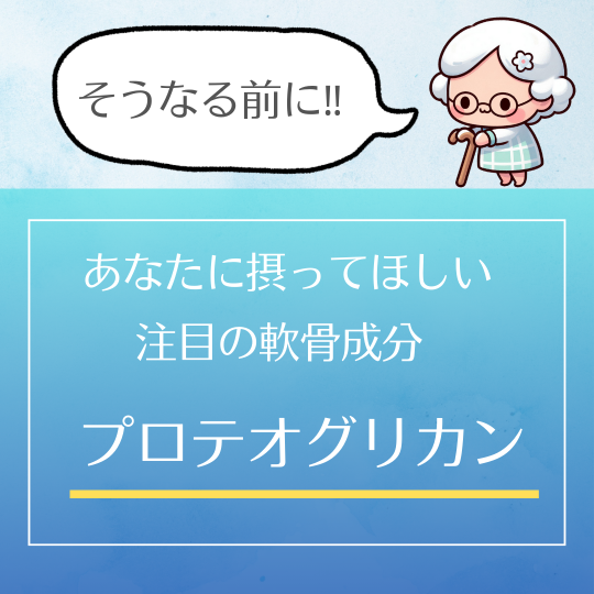 P+�ץ��ƥ����ꥫ��