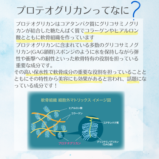 P+�ץ��ƥ����ꥫ��