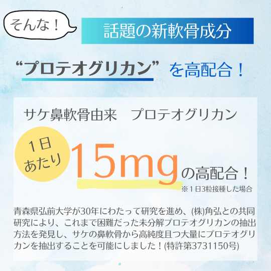 P+�ץ��ƥ����ꥫ��