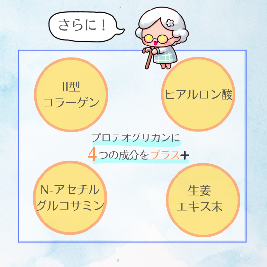 P+�ץ��ƥ����ꥫ��