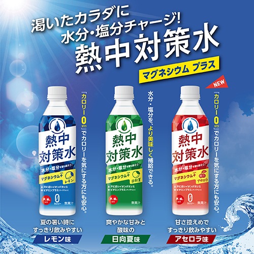 Ǯкˡ Ǯк ݡĥɥ ѥ ʴ   4Ȣ ( 1L5 ) 