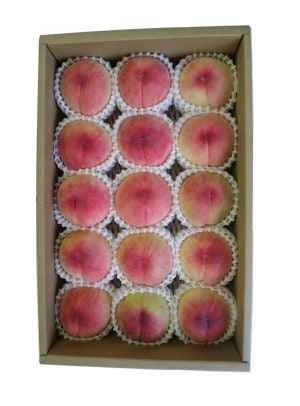 �ԡ��������ǥ����ʲ̼¡�