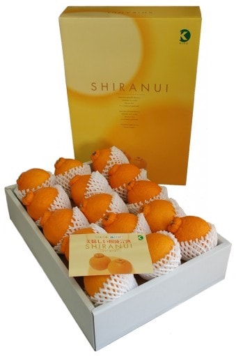 �������ࡡ�������ϡ����βСʤ���̤��� ��£���ѡ��󣵣��