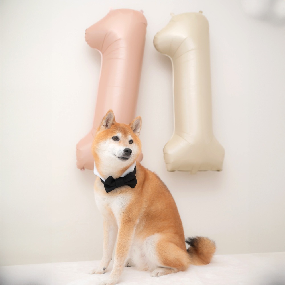 数字バルーン マットカラー アイボリー ピンク 大きい 誕生日バルーン 飾り付け 風船 約100cm バースデーバルーン