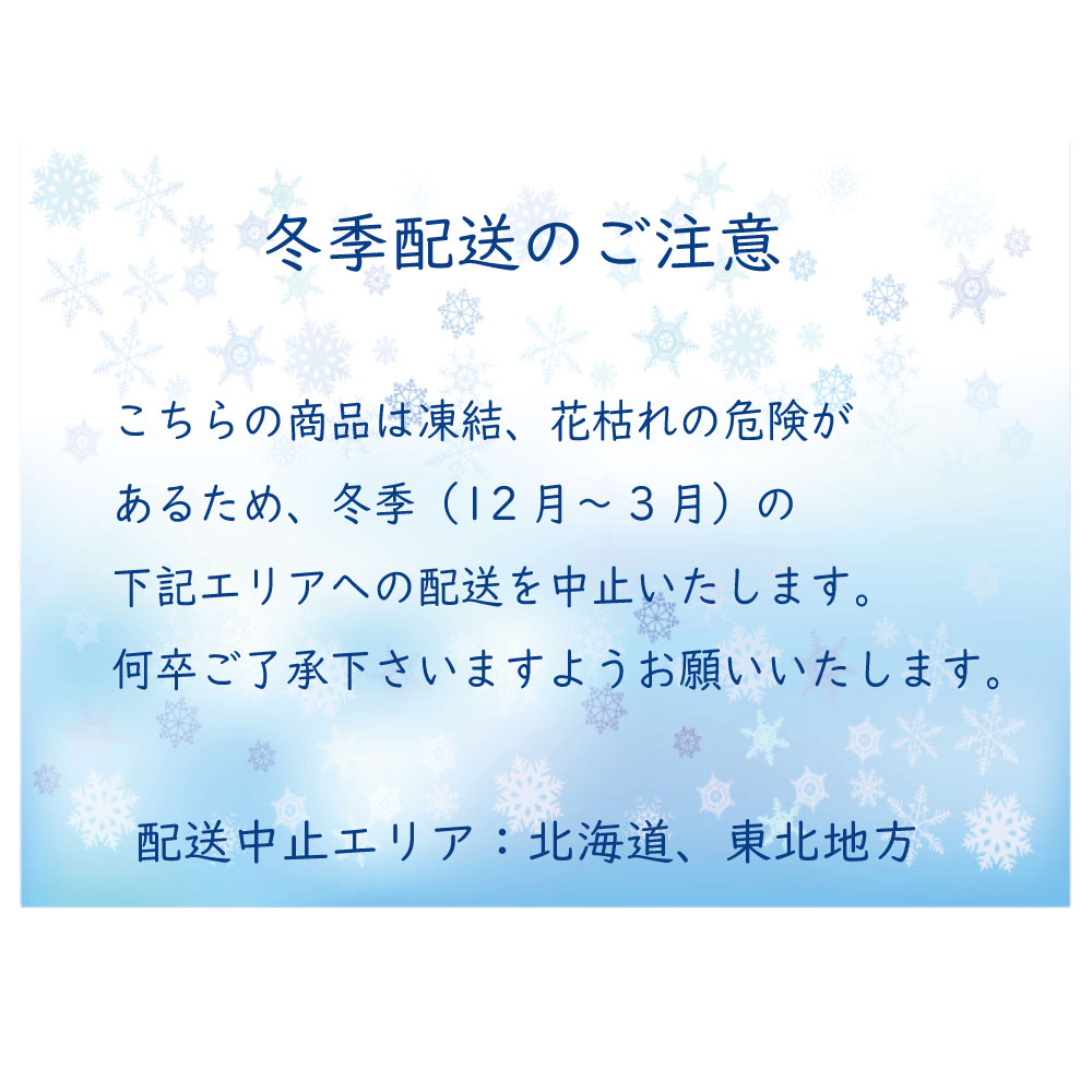 ホワイトアレンジメント冬季配送不可地域ありps2201