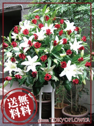 赤！白！スタンド花(一段)