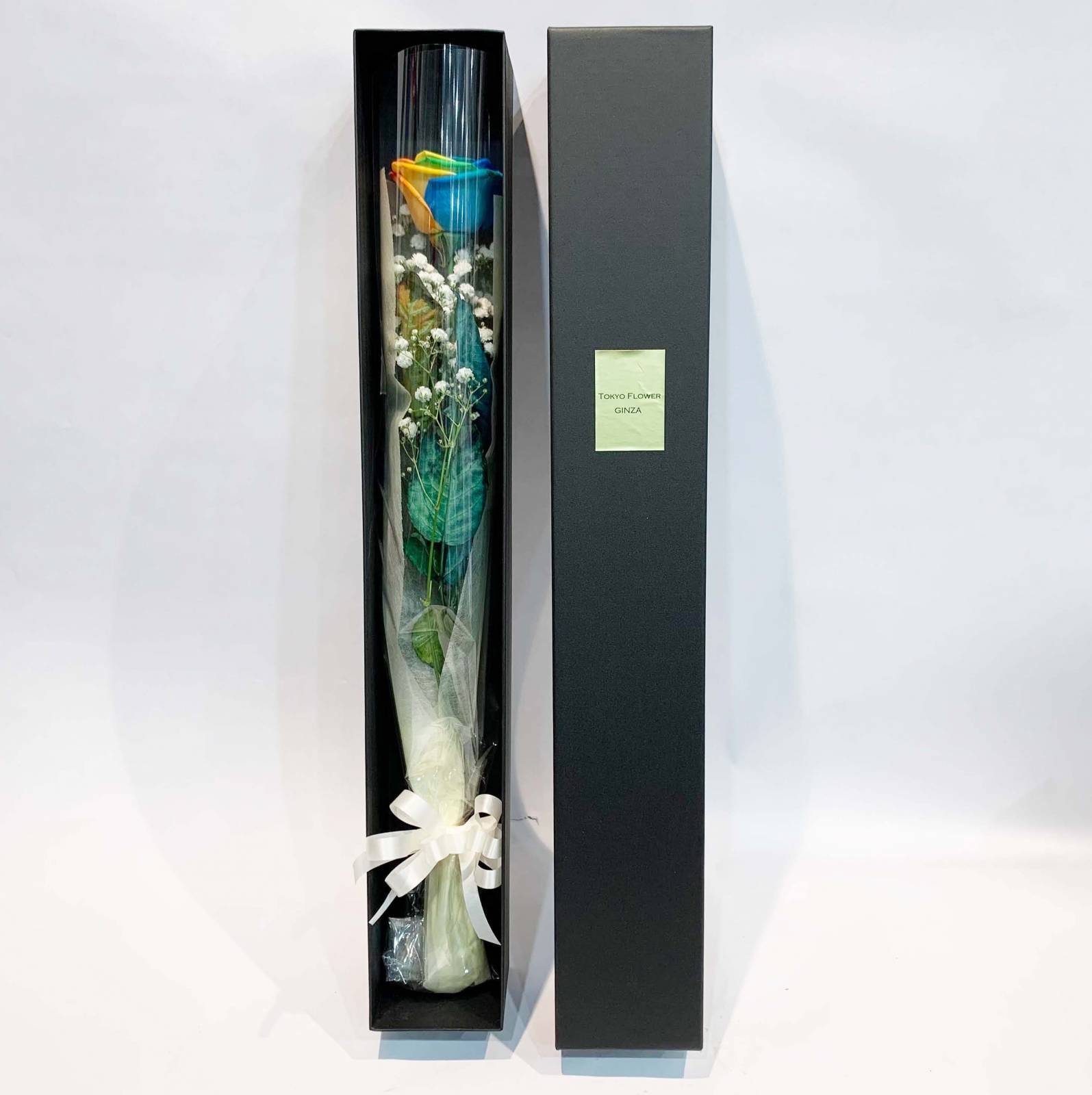 ブラックボックスレインボー