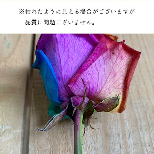 レインボーローズ60本の花束送料無料北海道沖縄送料＋送料無料FGP225_10【生花】バレンタイン