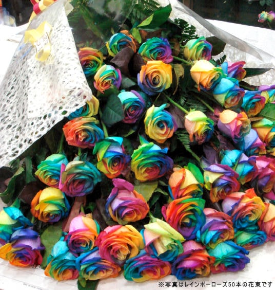 レインボーローズ60本の花束 虹色のバラ 送料無料 生花 バラ 虹薔薇 花束 プレゼント ギフト 誕生日 結婚記念日 お祝い 還暦 祝い 北海道 沖縄 送料＋ FGP225_10 クール便選択可能