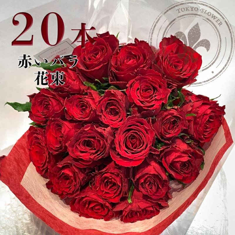 赤バラ20本の花束 赤バラ 花束 土日も出荷 送料無料 送料込み 記念日 入学 母の日 父の日 プレゼント ギフト 銀座 誕生日 成人 20歳 ハタチ 薔薇 ばら 花 お祝 誕生日 記念日 生花 結婚 長寿祝 退職 送別 妻 奥さん 嫁 母 ママ クール便選択可能