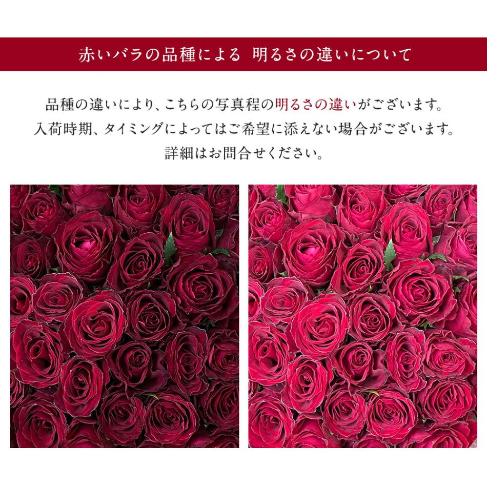赤バラ25本の花束送料込プレゼントお祝い記念日ギフト税込還暦プロポーズ誕生日卒業退職生花