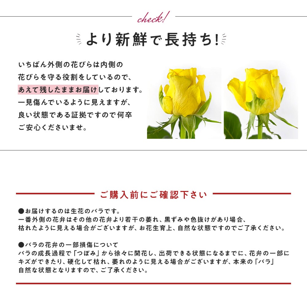 赤バラ25本の花束送料込プレゼントお祝い記念日ギフト税込還暦プロポーズ誕生日卒業退職生花