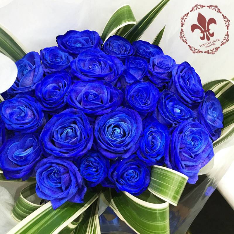 青バラ50本の花束 送料無料 送料込み プレゼント お祝い 記念日 ホワイトデー 卒業式 入学 ギフト 税込 還暦 プロポーズ 誕生日 卒業 退職 【生花】 クール便選択可能