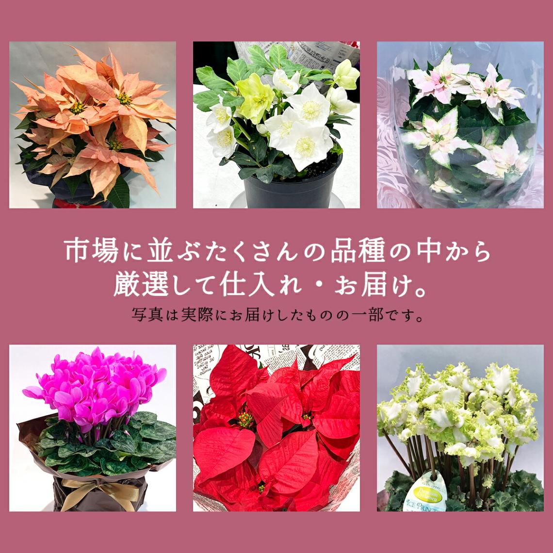 これまで送ったお花