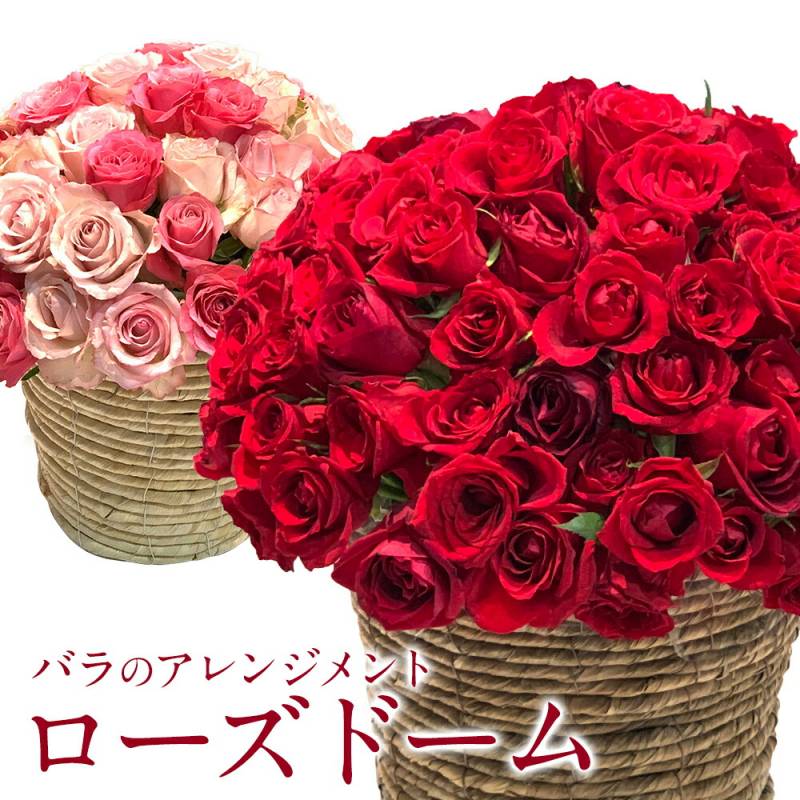 選べる花色 ローズドーム シリンダーバスケット バラのアレンジメント Mサイズ 送料無料 バラ 花束 アレンジメント お祝い おしゃれ プレゼント クール便選択可能