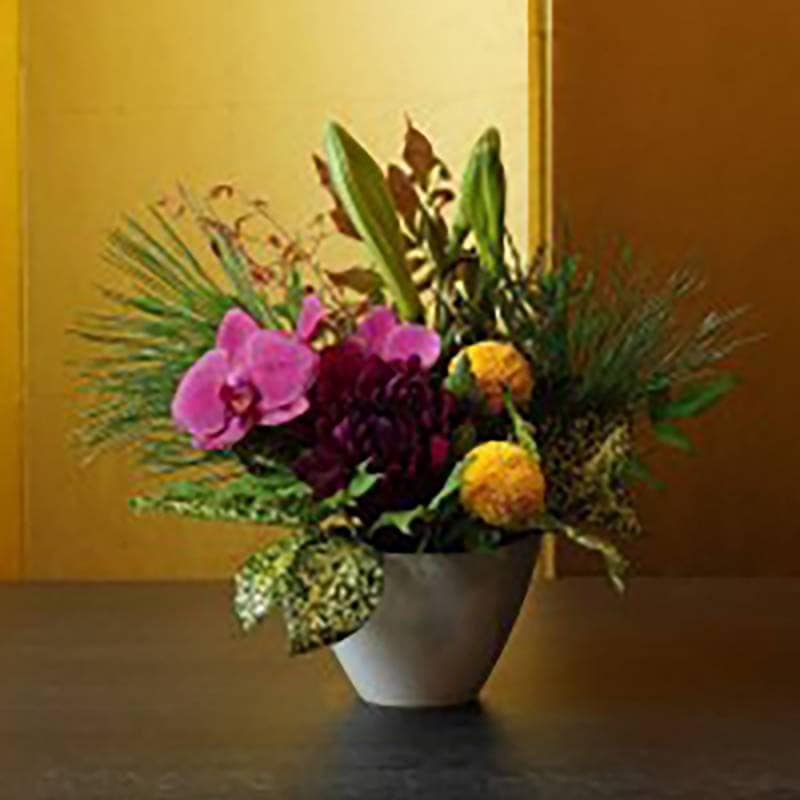 お正月 おまかせアレンジメントm 22年 迎春 正月飾り 縁起物 笑福 玄関 モダン おしゃれ 和風 生花 ギフト めでたい 松 新春迎春年末年始 花とワインギフト銀座東京フラワー お正月 おまかせアレンジメントm 22年 迎春 正月飾り 縁起物 笑福 玄関 モダン おしゃれ 和風 生花 ギフト めでたい 松 新春迎春年末年始 花とワインギフト銀座東京フラワー