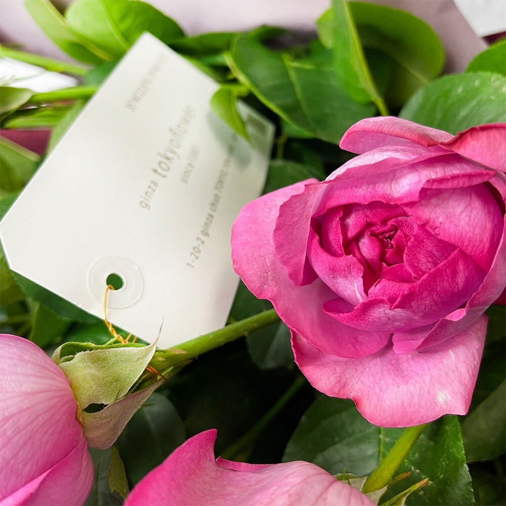 香るバライブピアッチェ30本の花束咲早強香デリケートローズ受注後の採花お届けまで要7日以上お祝いお中元記念日ギフト税込還暦プロポーズ誕生日卒業退職