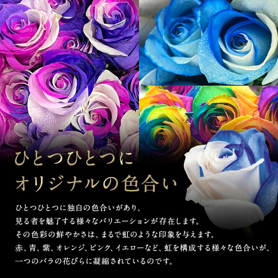 【受注再開しました】レインボーローズオリジナル発注バラ色変わり20本から本数指定50本60本100本108本送料別虹色のバラ別注カスタマイズ土曜営業誕生日プロポーズ結婚祝い記念日お祝いサプライズ門出虹薔薇レインボー薔薇虹色