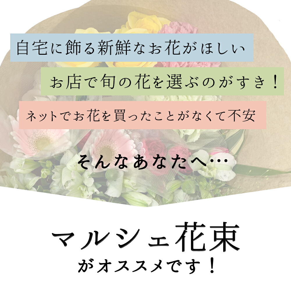 季節のお花を5種類以上葉ものグリーンを添えて送料無料切り花福袋月・水・金出荷限定生花プレゼントお祝いお中元記念日ギフト税込還暦プロポーズ誕生日卒業退職