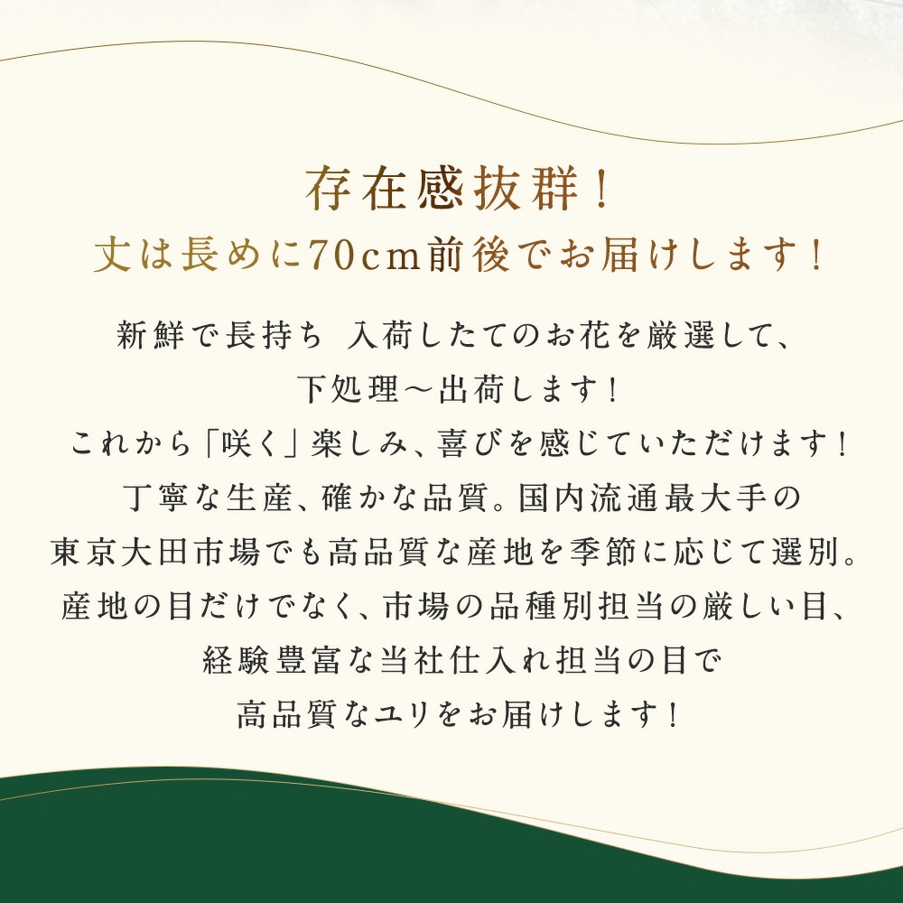銀座の白ユリ花束プレゼント花束20輪3本以上送料無料ゆり百合花束ギフト誕生日花束お悔やみお供え花束誕生日花束結婚記念日花束豪華大輪系オリエンタル白いユリの花束20輪以上