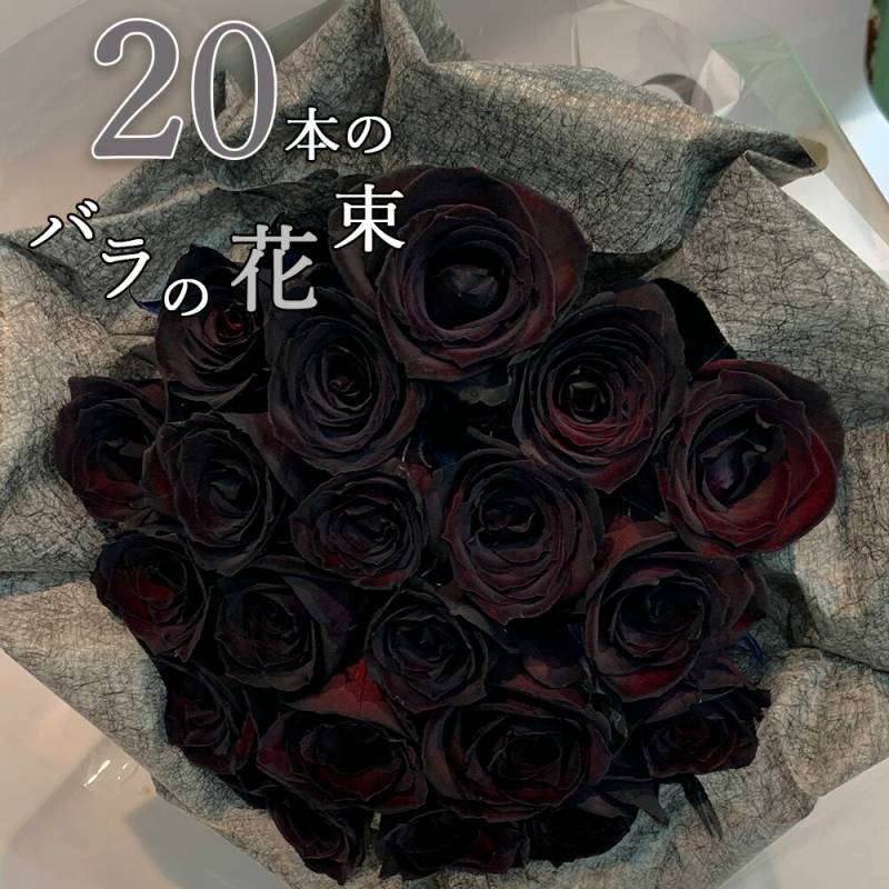 黒いバラ20本の花束 ブラックローズ 薔薇 花束 プレゼント 花言葉 「神秘」 「永遠の愛」 ホワイトデー 卒業式 入学 お祝い 記念日 ギフト プロポーズ 誕生日 卒業 退職 【生花】 お祝 結婚 祝い 長寿 金婚式 妻 奥さん 嫁 母 ママ 恋人 ライブ 楽屋花 コンサート 黒薔薇 クール便選択可能