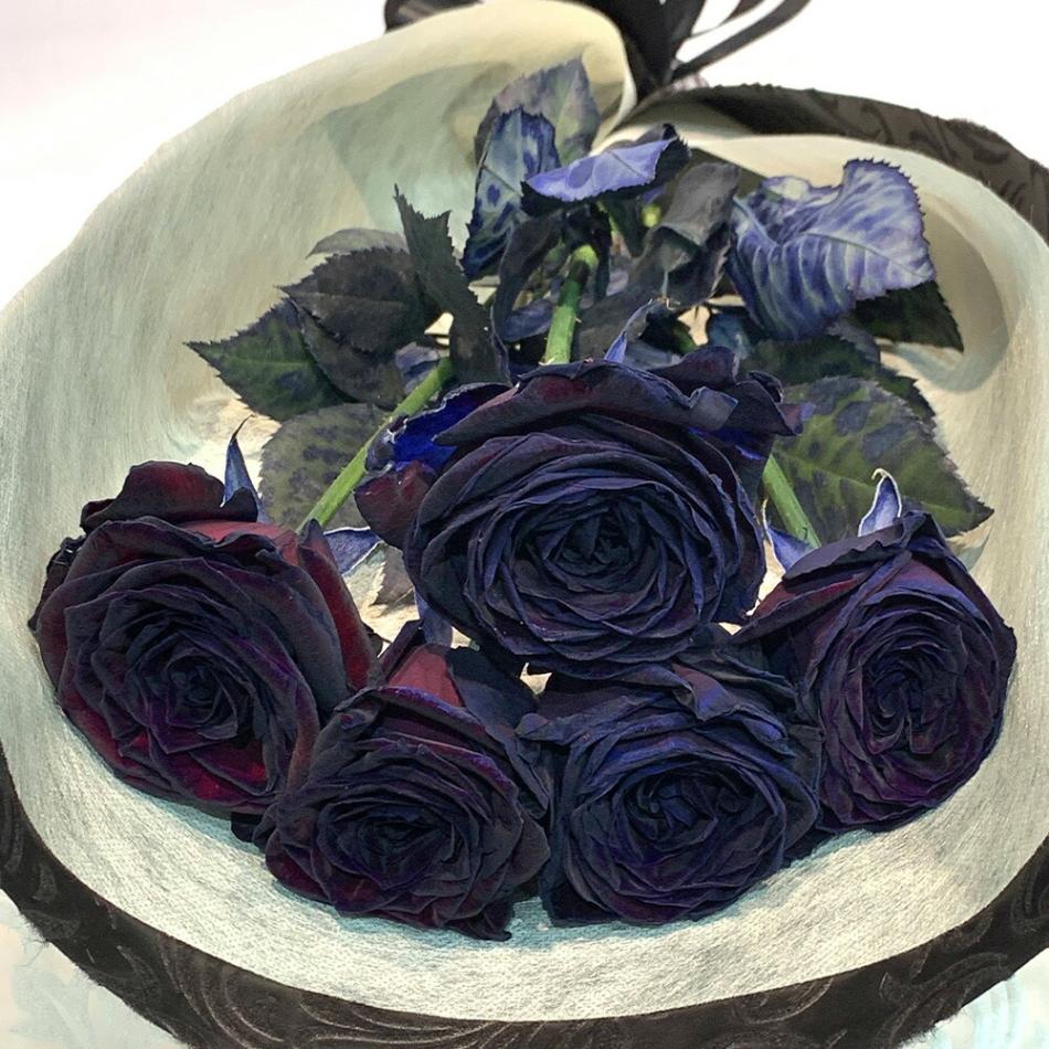黒い バラ 5本の花束 ブラックローズ 薔薇 黒 花束 プレゼント 花言葉 