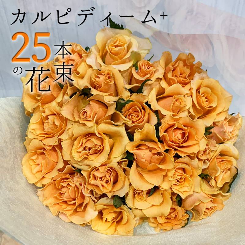 オレンジ バラ 25本の花束 カルピディーム+ 送料無料 送料込み 銀座の橙バラ 薔薇 入学 母の日 父の日 ギフト 花束 プレゼント 記念日 誕生日 お祝い 珍しい 豪華 生花 お祝 プロポーズ 結婚祝い 結婚 退職 長寿 金婚式 クール便選択可能