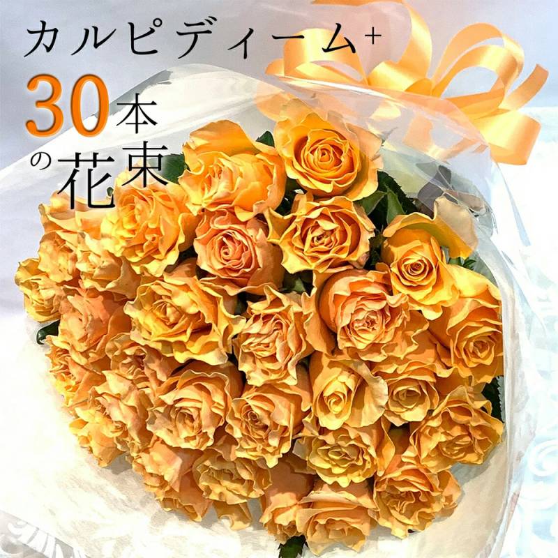 オレンジ バラ 30本の花束 カルピディーム+ 送料無料 送料込み 銀座の橙バラ 薔薇 入学 母の日 父の日 ギフト 花束 プレゼント 記念日 誕生日 お祝い 珍しい 希少 豪華 生花 お祝 プロポーズ 結婚祝い 結婚 退職 長寿 金婚式 カルピデューム クール便選択可能