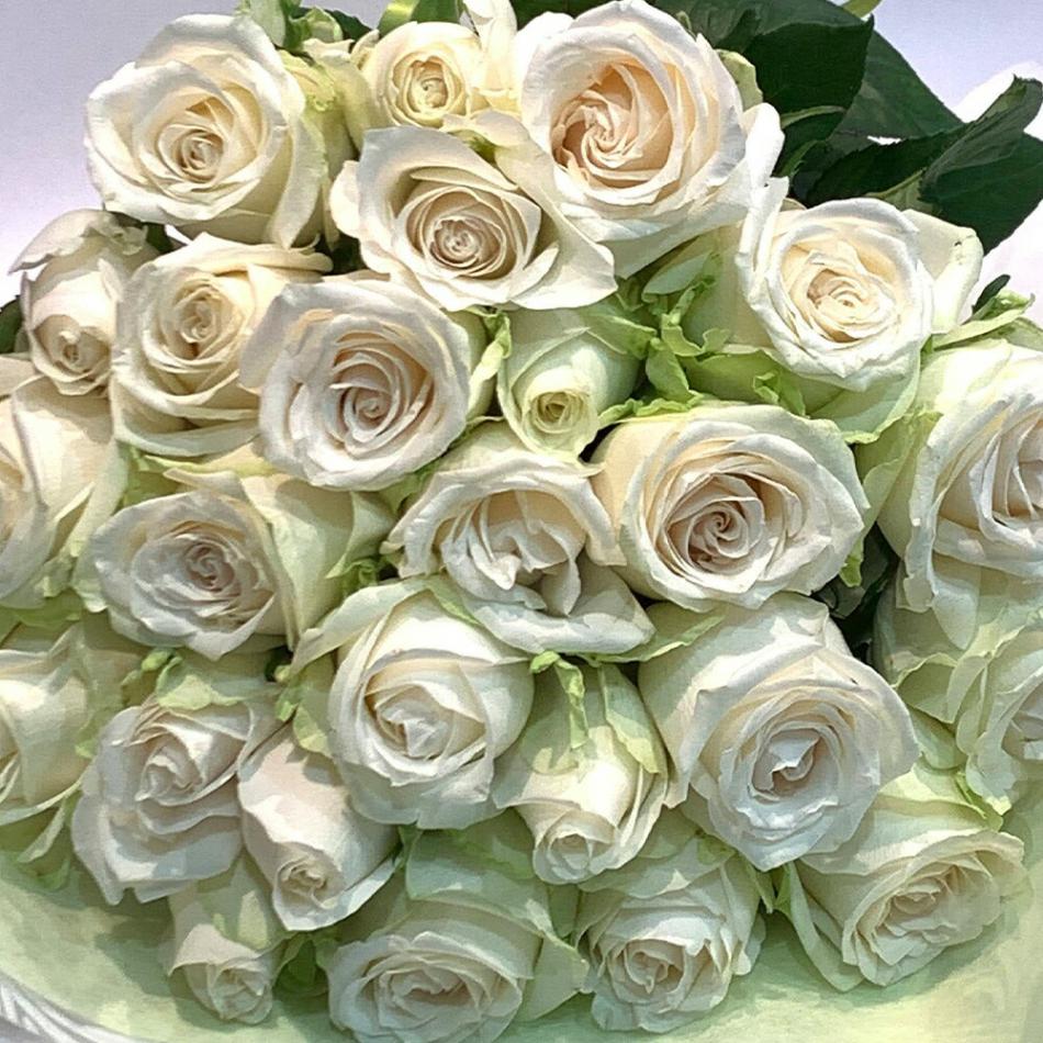 白バラ100本の花束東京銀座クオリティープレゼントお祝い記念日ギフト税込還暦プロポーズ誕生日卒業退職還暦【生花】