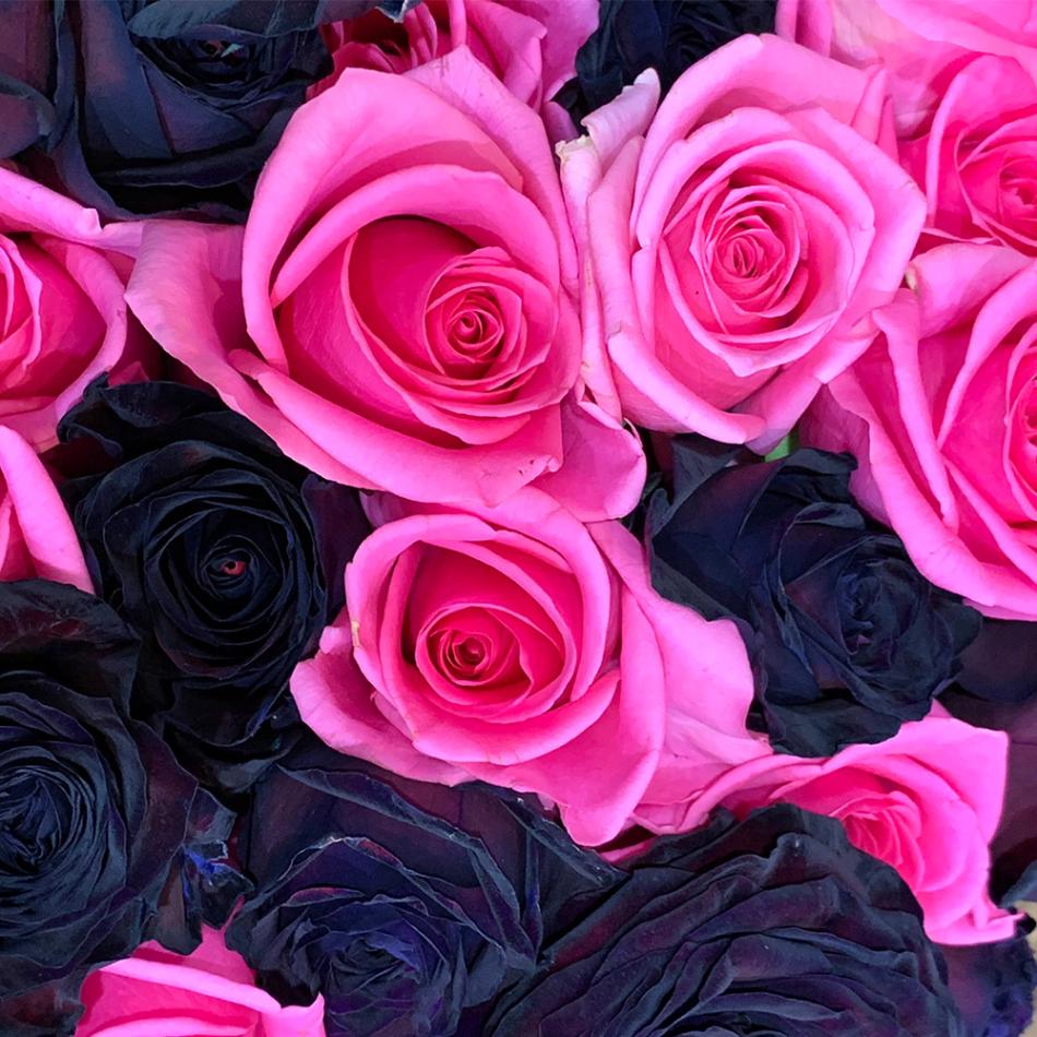 ブラック アンド ピンク バラ束 80本 花束 薔薇 プレゼント お祝い