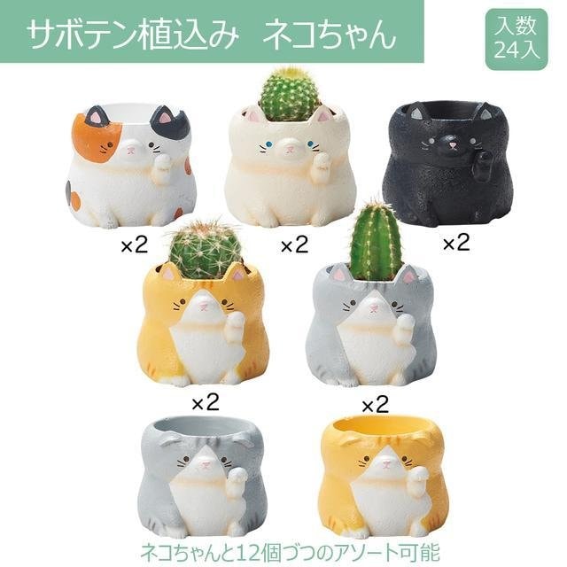 サボテン◆ネコちゃんアソート 12203 ウメザワ １号 24入 出荷期間：7/8～9/6