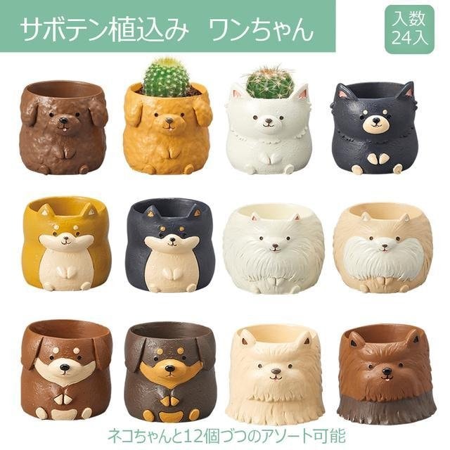サボテン◆ワンちゃんアソート 12203 ウメザワ １号 24入 出荷期間：7/8～9/6