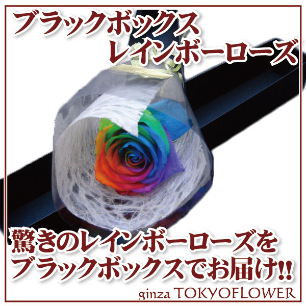 レインボーローズ 虹色のバラ 1輪 花束 生花 ブラックボックス かすみ草 カスミソウ または グリーン 葉物 アレンジ 土日対応 送料無料 虹薔薇 レインボー 虹 バラ 薔薇 誕生日 ホワイトデー 卒業式 入学 プレゼント ギフト プロポーズ 誕生日 記念日 お祝い クール便選択可能