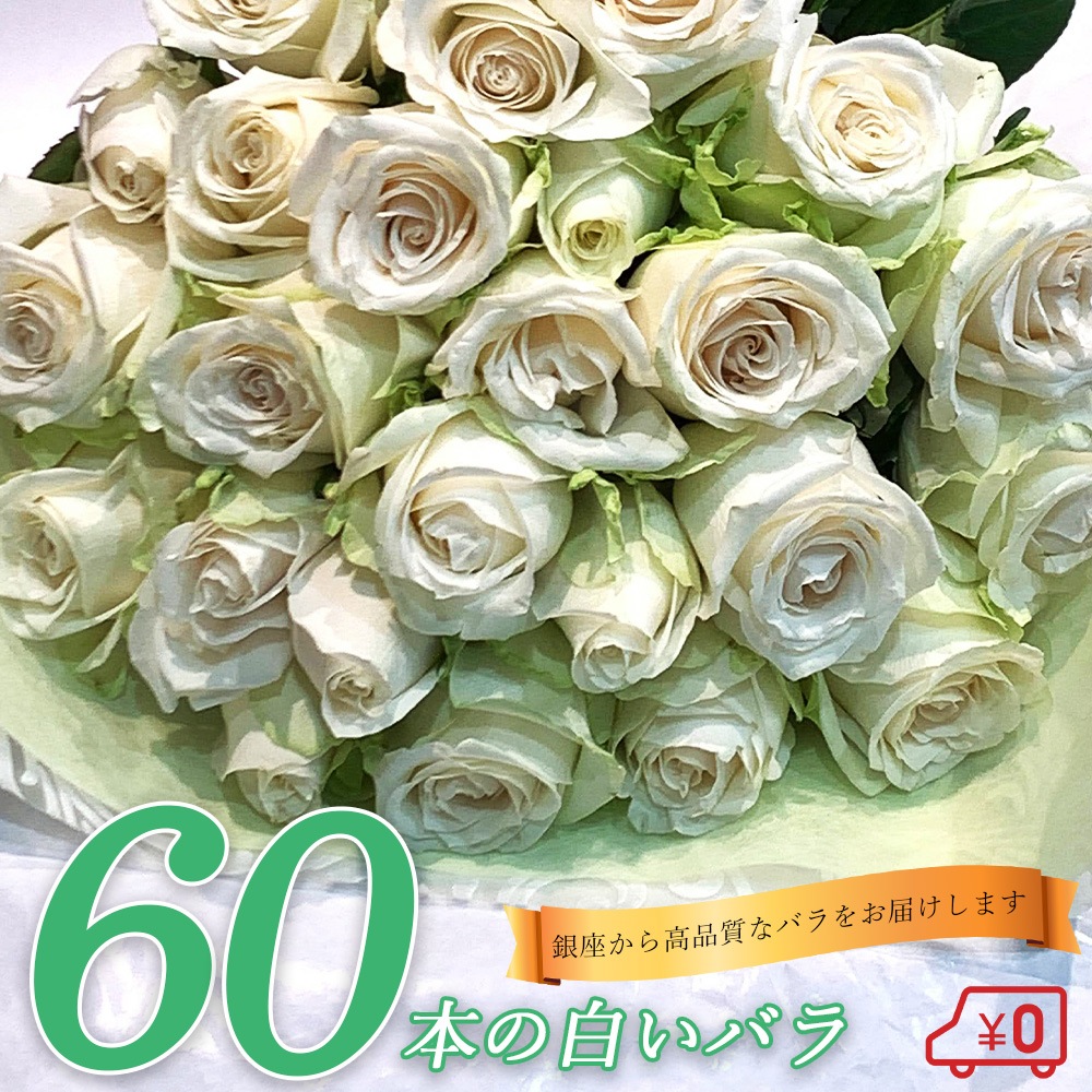 白バラ60本の花束 東京銀座クオリティー プレゼント お祝い 記念日 ギフト 送料無料 送料込み 税込 還暦 プロポーズ 誕生日 退職 還暦 【生花】 クール便選択可能