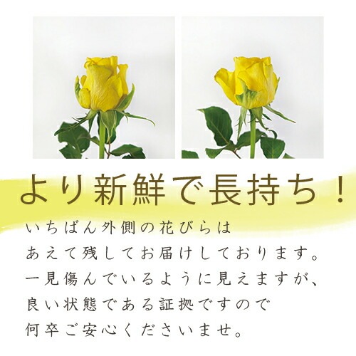 黄色バラ20本の花束 銀座のバラ 送料無料 入学 母の日 父の日 プレゼント お祝い 記念日 ギフト 税込 還暦 プロポーズ 誕生日 入学式 退職 生花 バラ 花束 20歳 成人 ハタチ 20周年 黄バラ 黄色いバラ クール便選択可能