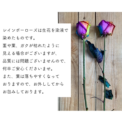 レインボーローズ60本の花束 虹色のバラ 送料無料 生花 バラ 虹薔薇 花束 プレゼント ギフト 誕生日 結婚記念日 お祝い 還暦 祝い 北海道 沖縄 送料+ FGP225_10 クール便選択可能