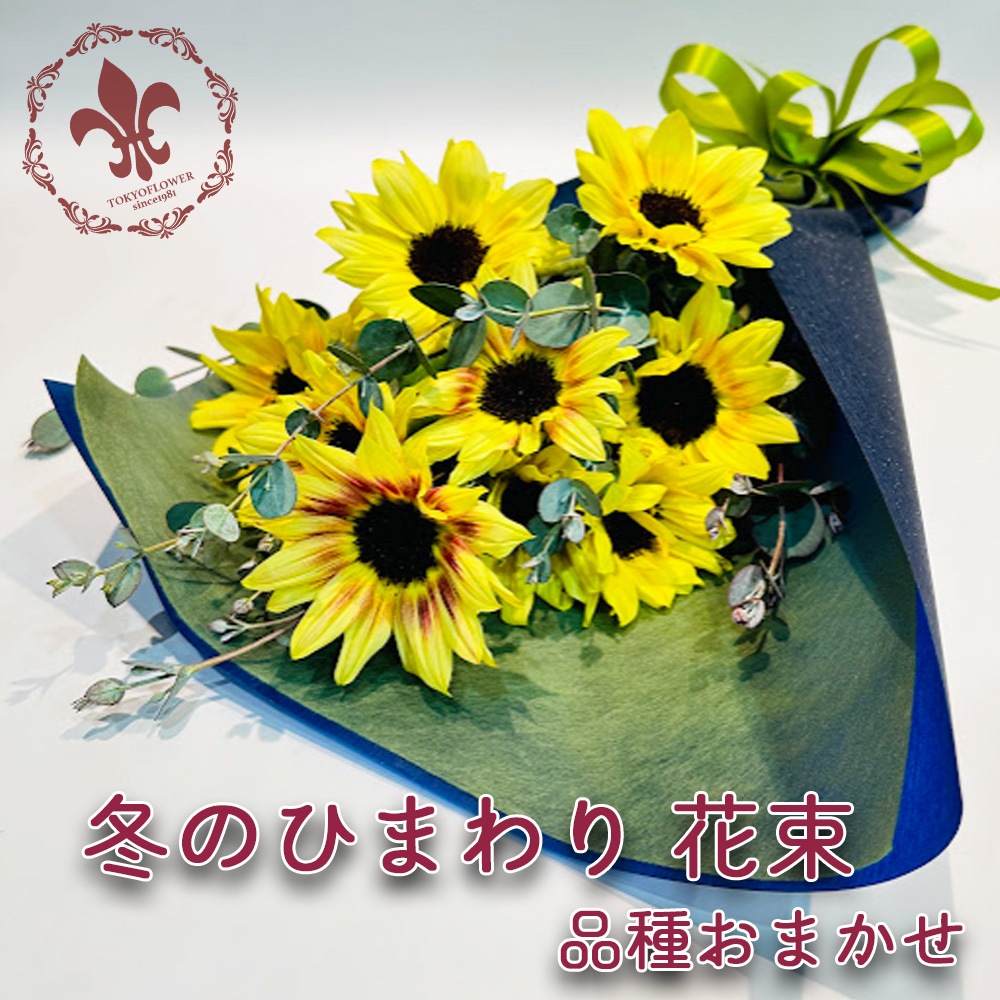 冬のひまわり 花束 品種おまかせ ヒマワリ 10本以上 グリーン ラッピング メッセージカード無料  送料無料 5日後からお届け日指定 向日葵 ギフト プレゼント ウィンター サンフラワー sunflower