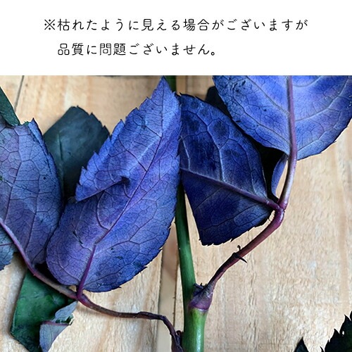 青いバラ ブルーローズ ハート型のアレンジメント ハートブルー 送料無料 台座付き プレゼント おしゃれ かわいい 発表会 楽屋花 バラの花 高級 告白 サプライズ 喜ばれる 豪華 レストラン 贈答 薔薇 女性 恋人 12月生まれ 1月生まれ ギフト クール便選択可能