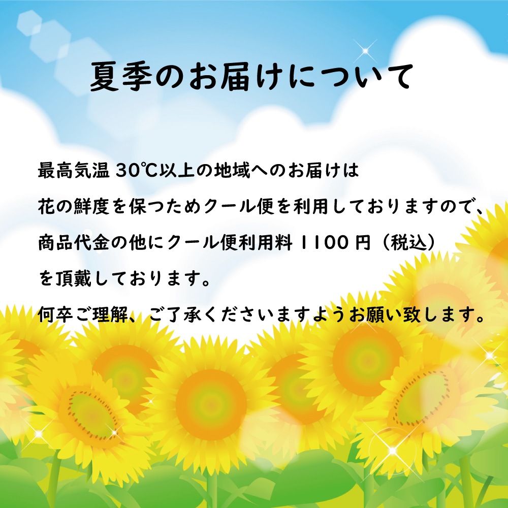 ワイン 花 セット 金箔入り スパークリングワイン 辛口 白 フェリスタス 750ml ＆ おまかせ アレンジメント フラワー 花色 イメージ 各5種類 送料無料 felistas 花 生花 お祝い 誕生日 ホワイトデー 卒業式 入学 プレゼント ギフト パーティー 記念日 クール便選択可能