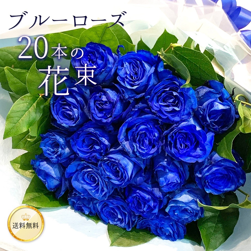 青バラ20本の花束 送料込 プレゼント お祝い 記念日 ギフト 税込 還暦 プロポーズ 誕生日 卒業 退職【生花】