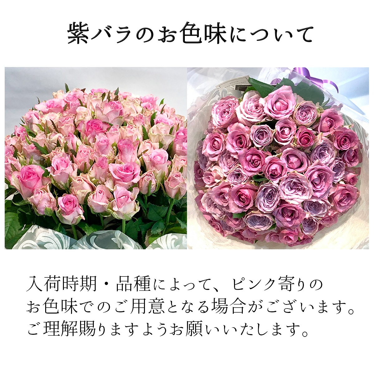 紫バラ100本の花束 生花 ムラサキバラ 東京銀座クオリティ 送料無料 送料込み 紫色 バラ 薔薇 ばら 花束 お祝い 誕生日 記念日 クリスマス プレゼント ギフト プロポーズ 結婚 退職 還暦 長寿 百寿 紀寿 米寿 古希 喜寿 金婚式 クール便選択可能