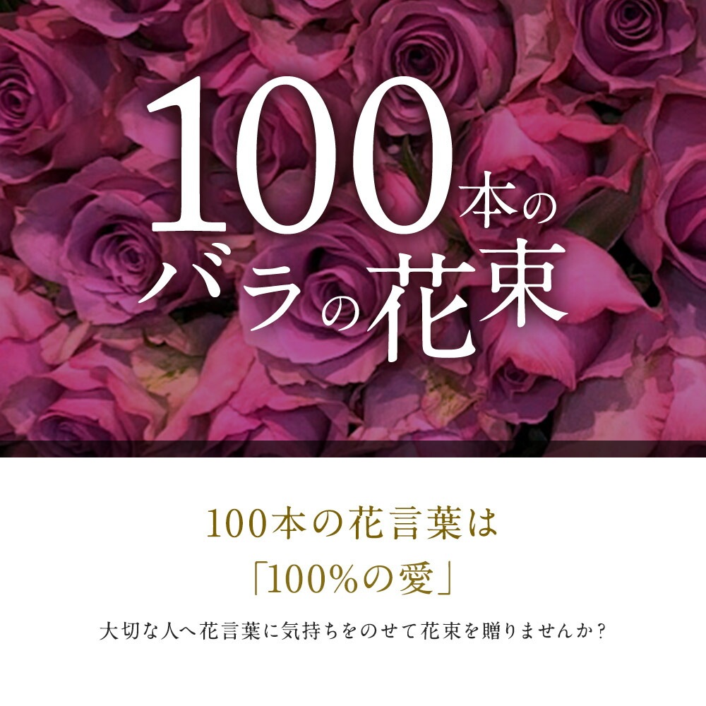 紫バラ100本の花束 生花 ムラサキバラ 東京銀座クオリティ 送料無料