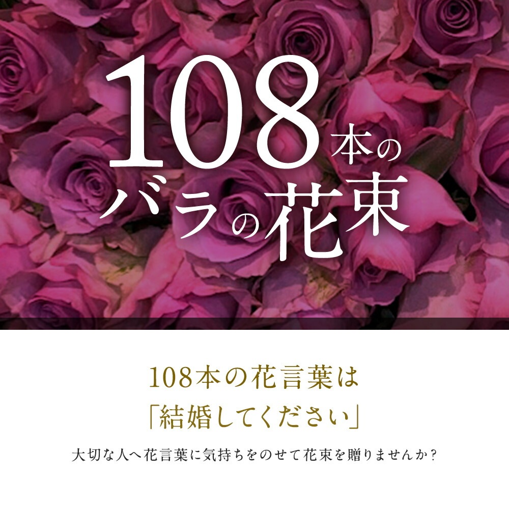 紫バラ108本の花束 生花 ムラサキバラ 東京銀座クオリティ 送料無料 送料込み 紫色 バラ 薔薇 ばら 花束 お祝い 誕生日 記念日 クリスマス プレゼント ギフト プロポーズ 結婚 退職 還暦 長寿 茶寿 米寿 古希 喜寿 金婚式 クール便選択可能