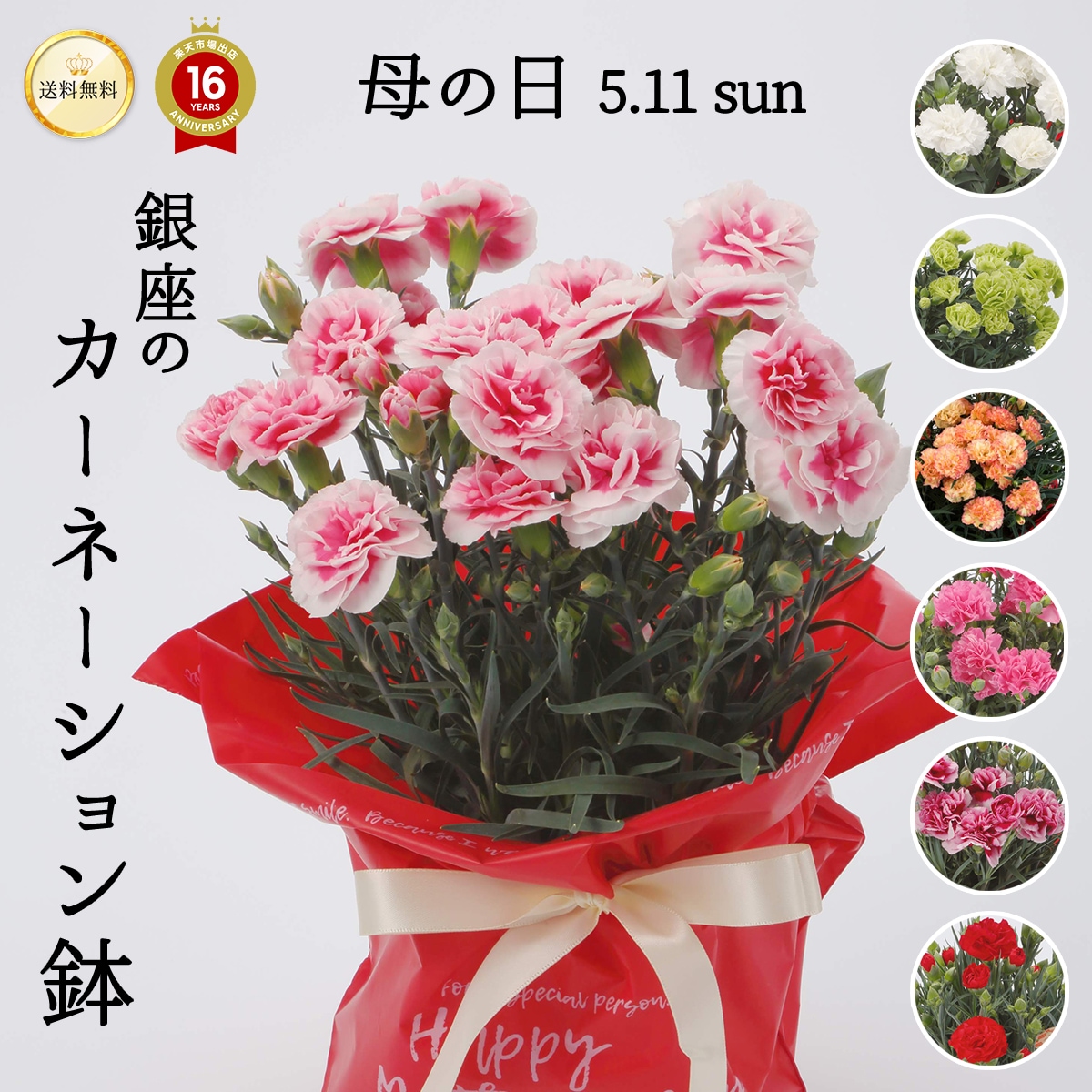 【2025年 母の日ギフト】銀座のカーネーション5号鉢 選べる花色9種類 送料無料 沖縄配送不可 花鉢 ギフト ランキング haha