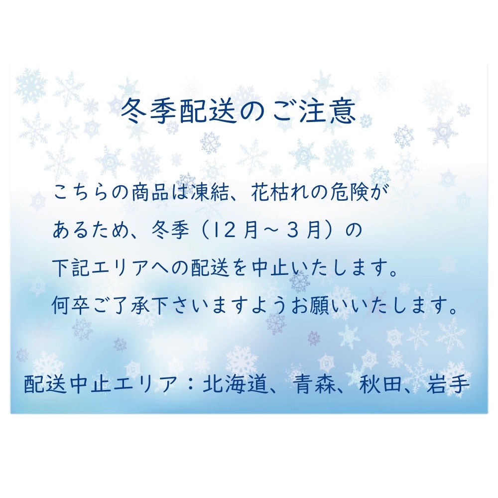 青バラ99本の花束 送料込 プレゼント お祝い 記念日 ギフト 税込 還暦 プロポーズ 誕生日 卒業 退職 白寿【生花】