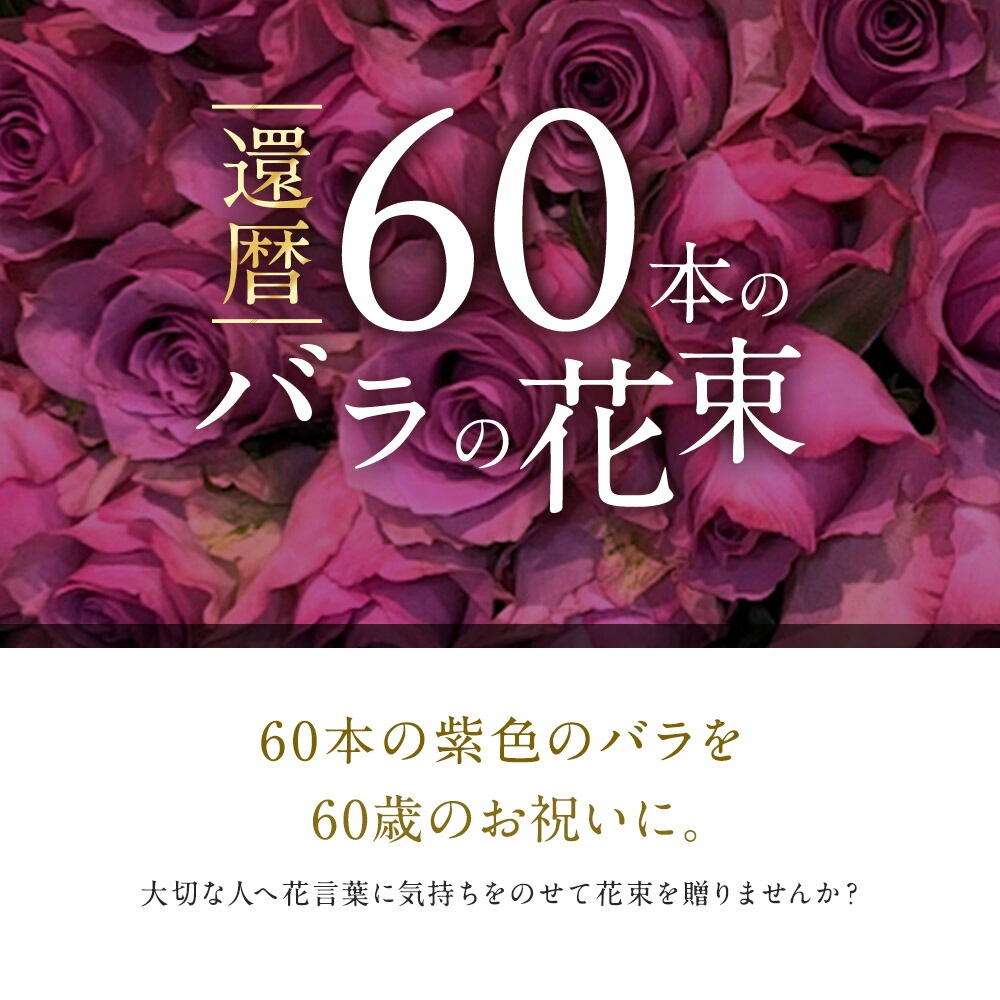 紫バラ60本の花束 生花 ムラサキバラ 東京銀座クオリティ 送料無料 送料込み 紫色 バラ 薔薇 ばら 花束 お祝い 誕生日 記念日 ホワイトデー 卒業式 入学 プレゼント ギフト プロポーズ 結婚 退職 還暦 長寿 米寿 古希 喜寿 金婚式 クール便選択可能