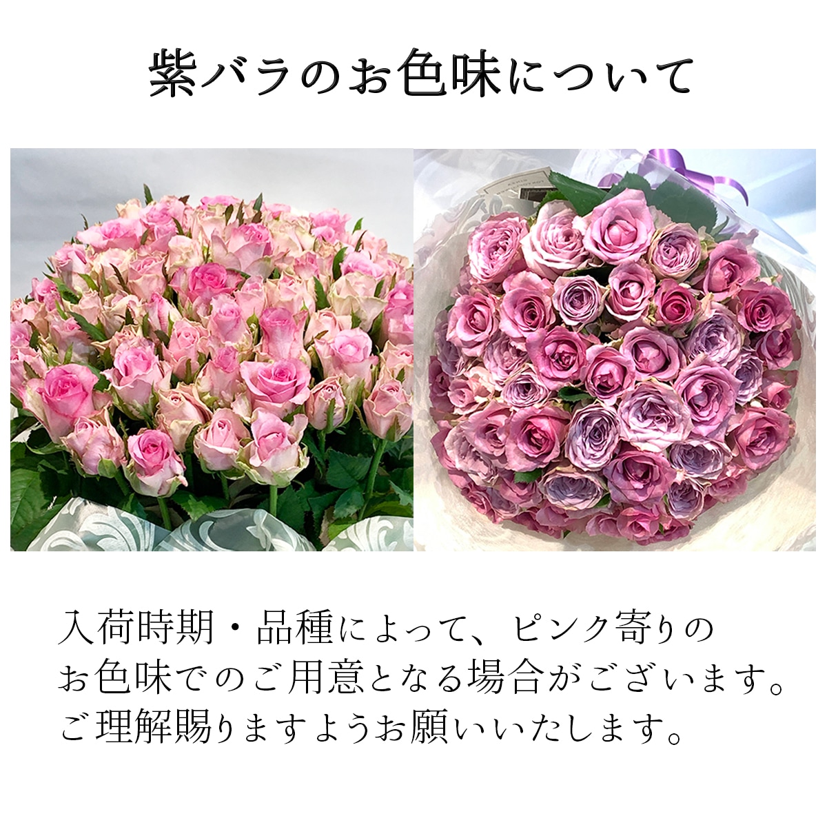 高品質◎低価格に挑戦】 紫バラ70本の花束 生花 ムラサキバラ 東京銀座