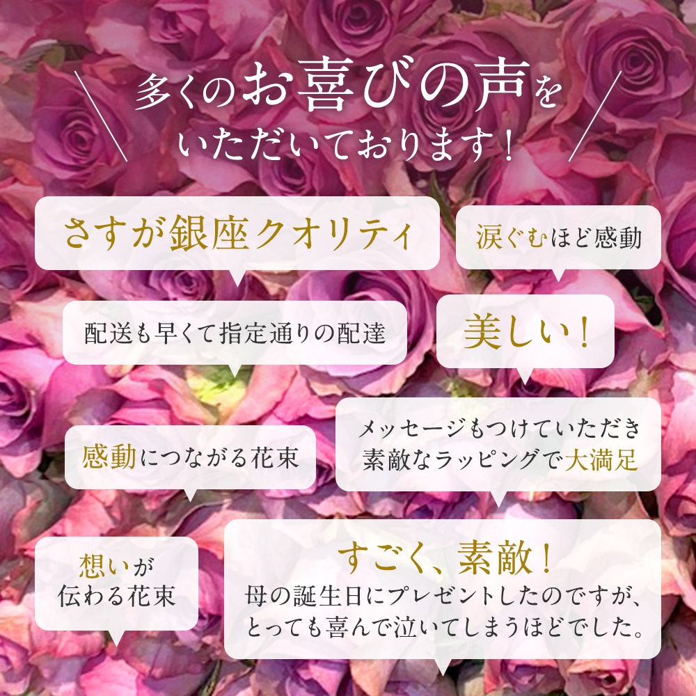 紫バラ80本の花束 生花 ムラサキバラ 東京銀座クオリティ 送料無料 送料込み 紫色 バラ 薔薇 ばら 花束 お祝い 誕生日 記念日 クリスマス プレゼント ギフト プロポーズ 結婚 退職 還暦 長寿 傘寿 米寿 古希 喜寿 金婚式 クール便選択可能