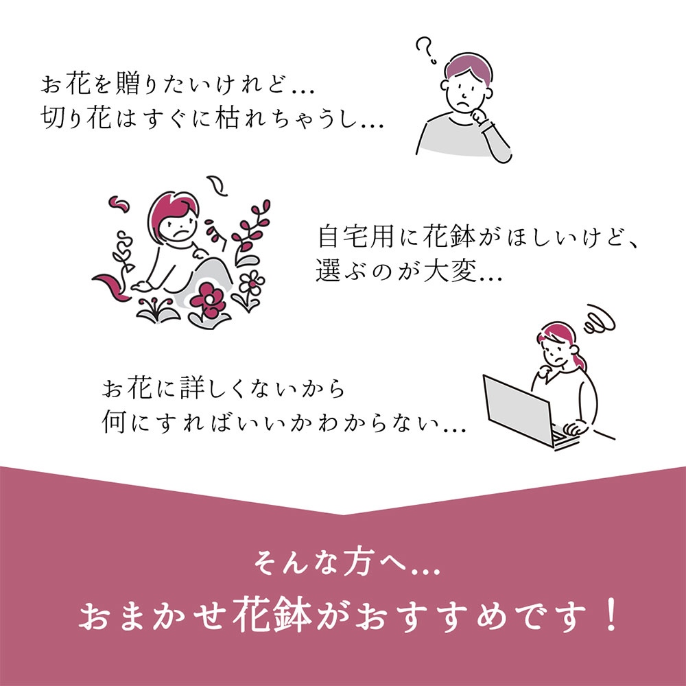 【何が届くかお楽しみ♪】 春 おまかせ花鉢 季節の花鉢 おまかせ 鉢植え 5寸鉢 2月 3月 あす楽13時まで 送料無料 送料込み ホワイトデー 卒業式 入学 プレゼント ギフト 誕生日 長寿祝い 自宅用 内祝 結婚祝 新築祝 花壇 園芸 観葉植物 ガーデニング 庭 玄関 お供え