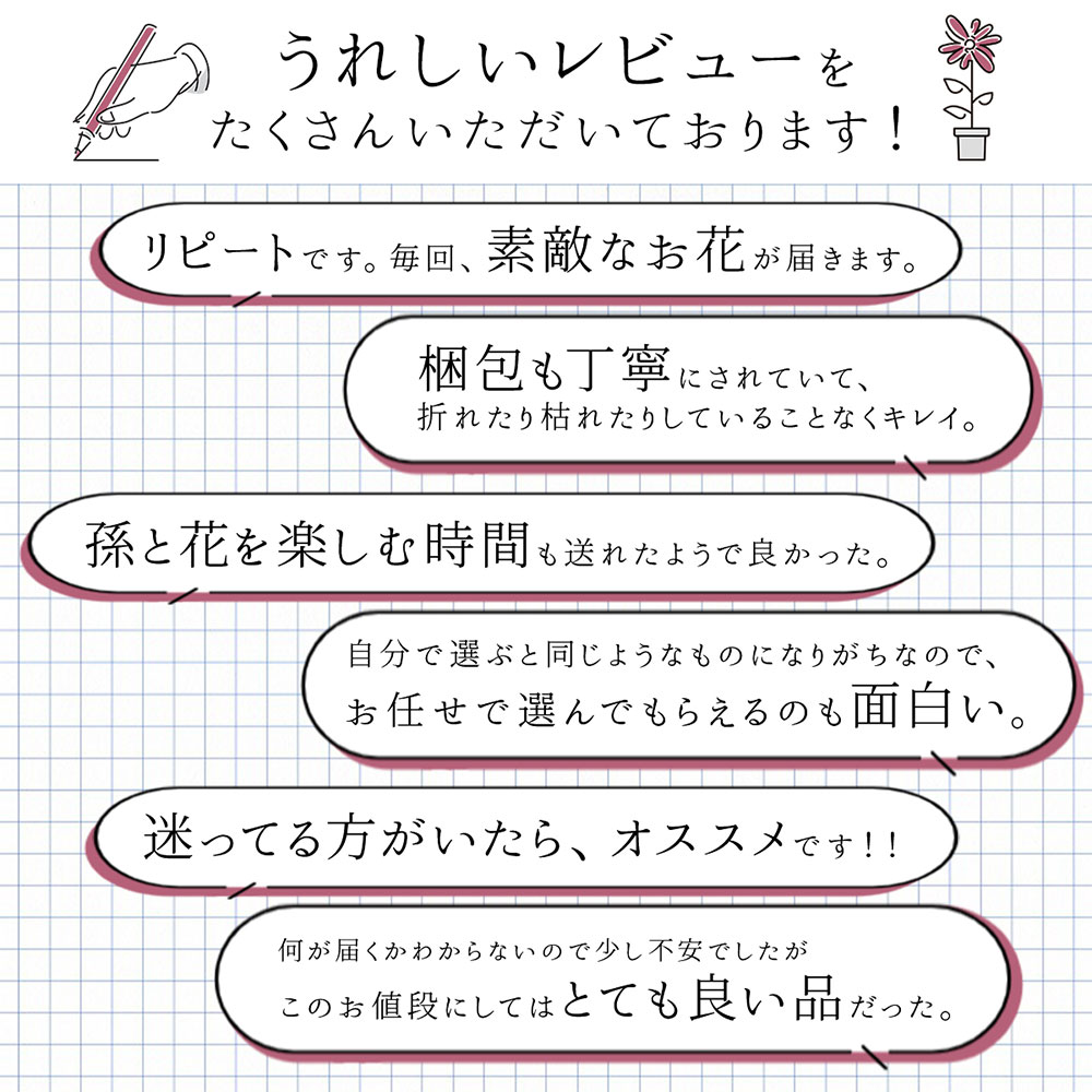 【何が届くかお楽しみ♪】 春 おまかせ花鉢 季節の花鉢 おまかせ 鉢植え 5寸鉢 2月 3月 あす楽13時まで 送料無料 送料込み ホワイトデー 卒業式 入学 プレゼント ギフト 誕生日 長寿祝い 自宅用 内祝 結婚祝 新築祝 花壇 園芸 観葉植物 ガーデニング 庭 玄関 お供え